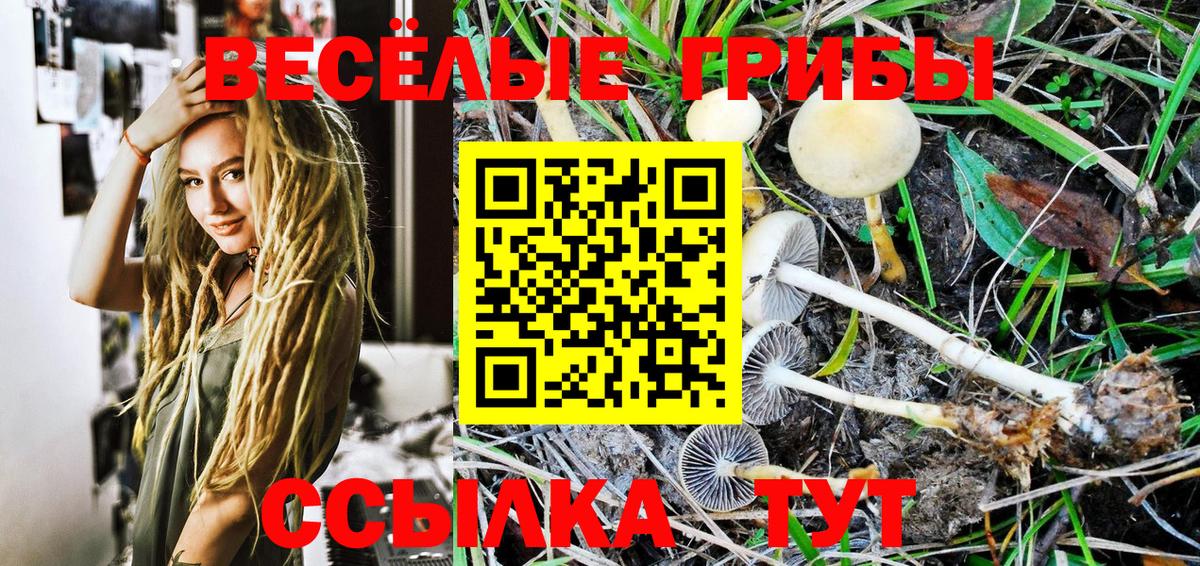 Галлюциногенные грибы Psilocybe Южно-Сахалинск