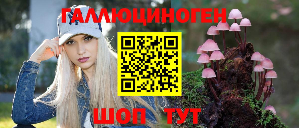 Южно-Сахалинск  Псилоцибиновые грибы Psilocybe  Вход с VPN 